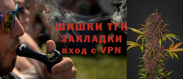 mdpv Вяземский
