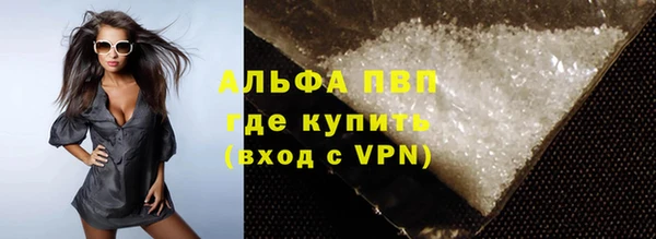 прущие грибы Вязники