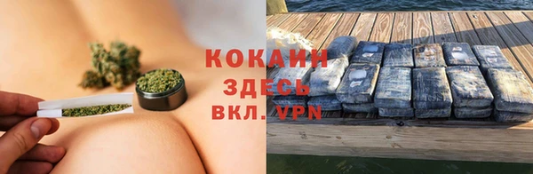 прущие грибы Вязники
