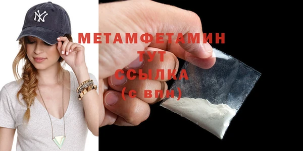 прущие грибы Вязники