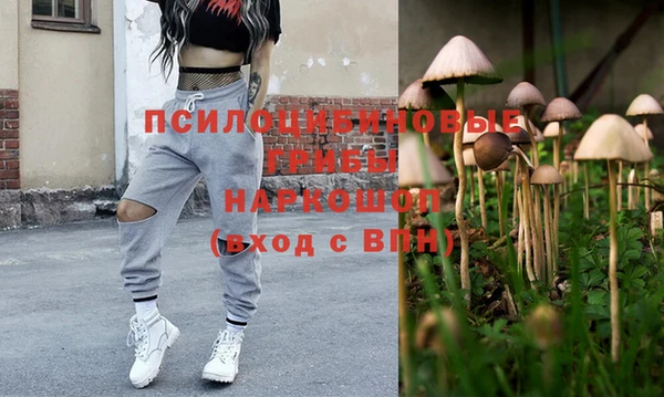 mdpv Вяземский