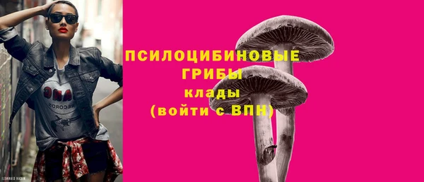 mdpv Вяземский