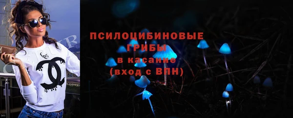 прущие грибы Вязники