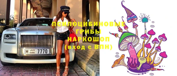 mdpv Вяземский