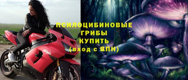 mdpv Вяземский
