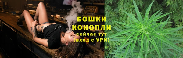 прущие грибы Вязники