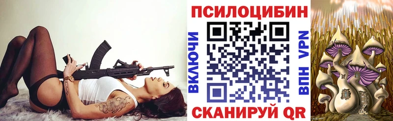 Псилоцибиновые грибы Psilocybine cubensis  Купить закладки  Курильск 